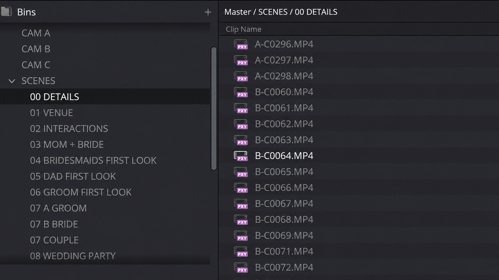 Organized DaVinci Resolve bins